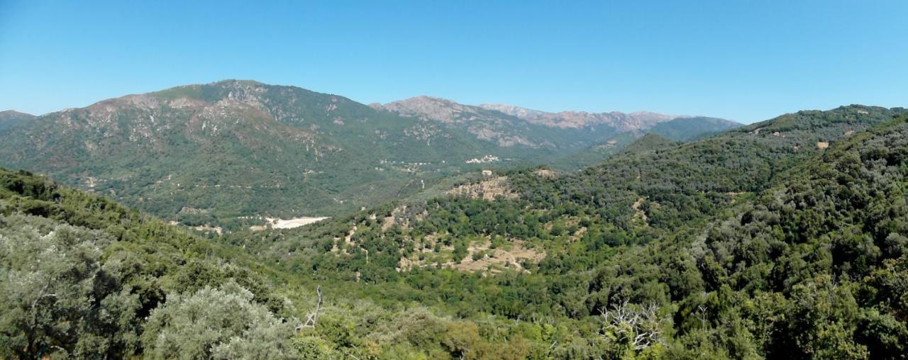 דירות Santa-Lucia-di-Tallano Casa Nepita Sur Vue Grandiose מראה חיצוני תמונה